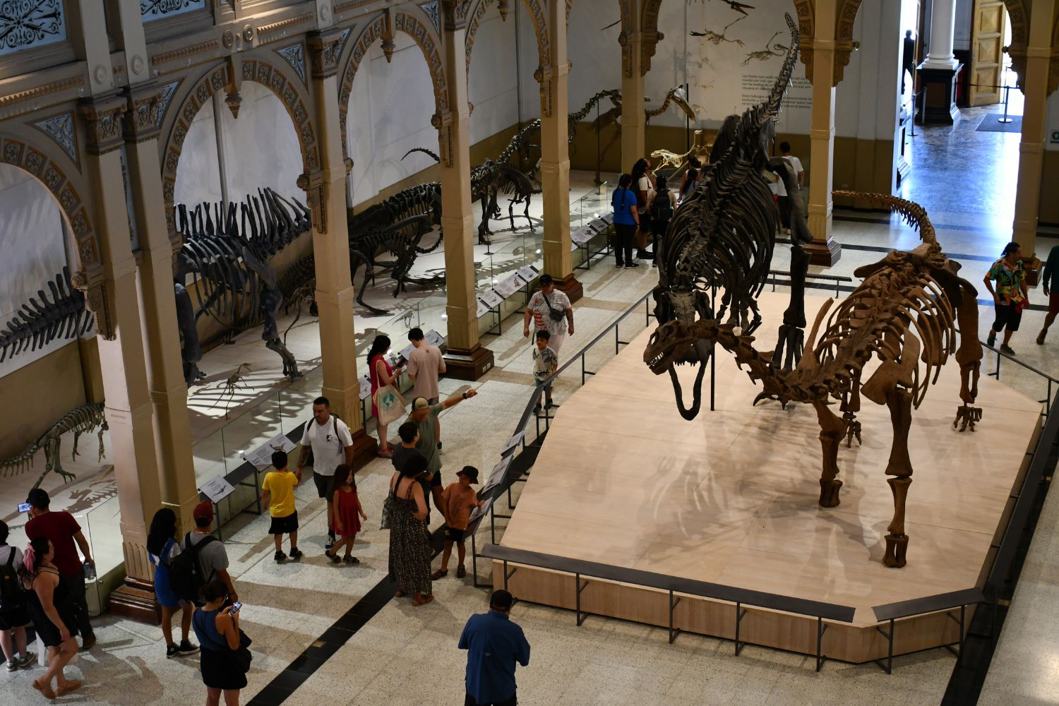 Expo Dinosaurios Al Sur del Mundo